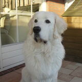 jego close up