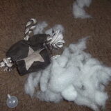 En dit was het slachtoffer van het geweld haha!! Weer een…