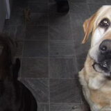 Saampjes poseren... 8 jaar en zes maanden wat een verschil!!