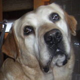 ben ik niet cute???? Vrouwke vind van wel