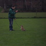 zino op hondenschool