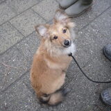 Zino, medestudent van ons Fennah :p