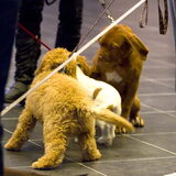 Foto van Karin & Levi