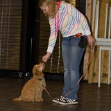 Foto van Karin & Levi