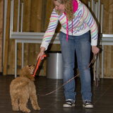 Foto van Karin & Levi