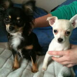 abby en fay