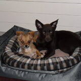 inti en wondjina samen in de mand