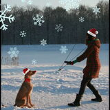 It's the most wonderfull time of the year