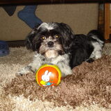 Foto van Helma en Balou