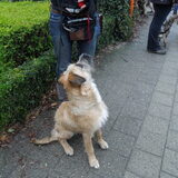 fennah samen met ons naar inwijding