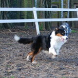Spelen met mams (22-01-2012)
