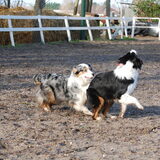 Spelen met mams (22-01-2012)
