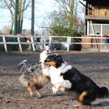 Spelen met mams (22-01-2012)