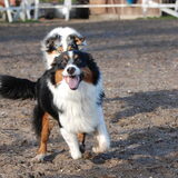Spelen met mams (22-01-2012)