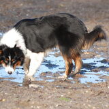 Spelen met mams (22-01-2012)