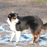 Spelen met mams (22-01-2012)