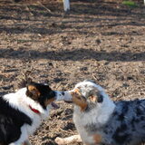Spelen met mams (22-01-2012)