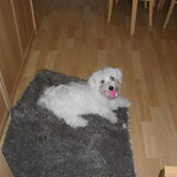 Foto van Gina Heuvelsland