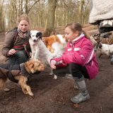 En daar zijn een paar hondjes van Hanna