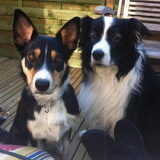 Lizzie en Bowie