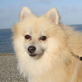 Knappe Cloudy