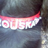 Foto van rouska
