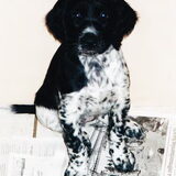 Anoeska als pup
