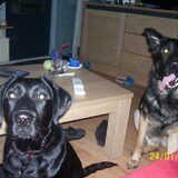 Marley & Wolf