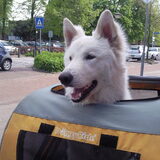 Eros houd van de doyride! Vind het erg leuk om in te zitten en lekker…