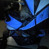 hihi honden buggy gekocht voor fifi voor als we naar amsterdam of verre…