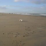 Foto van Gina Heuvelsland