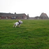 Foto van Jeroen & Lola