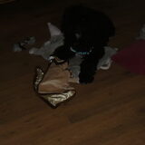 buddy speelt