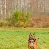 Foto van Hetty & Skipper