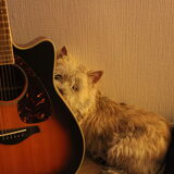 Foto van Goele & Cas