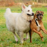 Foto van Hetty & Skipper