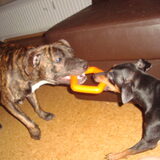 spyro en percy trekje doen ;-)