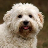 Foto van Bernadet- Dhani-Shasta.