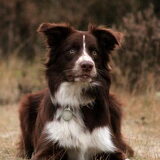Foto van Bernadet- Dhani-Shasta.