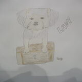 Lady van Lise getekend