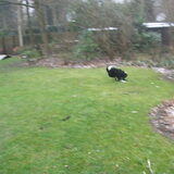 ik heb hem!!