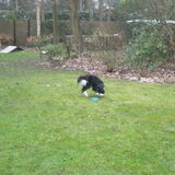 aaaah Frisbee