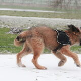 Foto van team Shadow