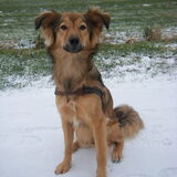 Foto van Sanne