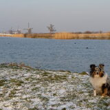 Foto van Lizzie en Sterre
