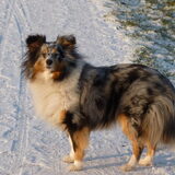 Foto van Lizzie en Sterre