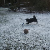 frisbee!!!