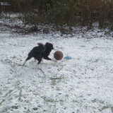 mijn basketbal!!