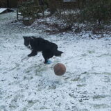 aaah een bal