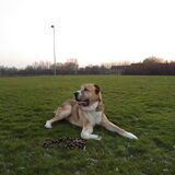 Foto van Samantha Jessie